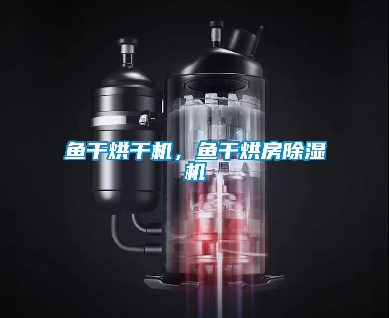 魚(yú)干烘干機(jī)，魚(yú)干烘房除濕機(jī)